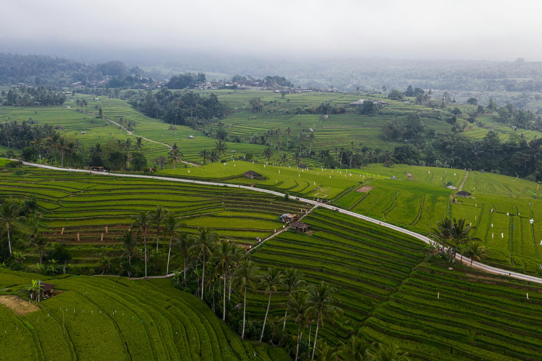 Is Bali Overrated? An Honest 2026 Guide to Indonesia's Most Famous Island