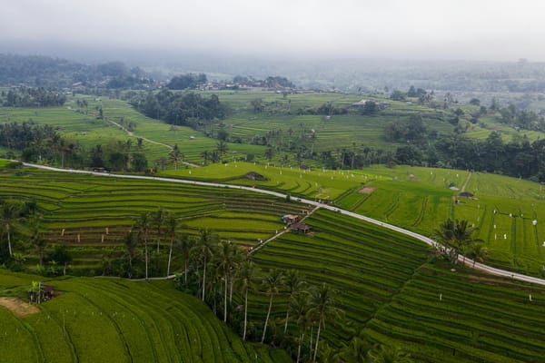 Is Bali Overrated? An Honest 2026 Guide to Indonesia's Most Famous Island
